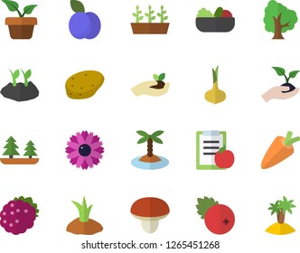 Color flat icon set mushroom flat vector, potato, onion, carrot, salad, cranberry, blackberry, plum, home plant, tree, flower, seedlings, planting plants, forest, diet, island fector