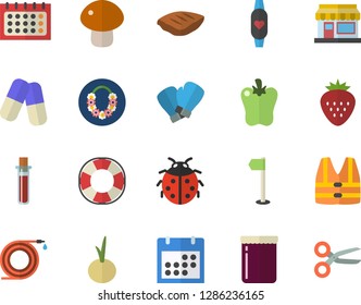 Color flat icon set mushroom flat vector, chop, onion, bell pepper, jam, Strawberry, ladybird, grain warehouse, hose, calendar, pills, blood test, sports flag, boxing gloves, fitness bracelet