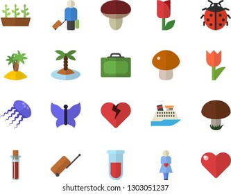 Color flat icon set mushroom flat vector, ladybird, tulip, seedlings, butterflies, blood test, gestation, luggage fector, suitcase, island, cruise ship, jellyfish, heart