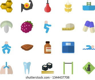 Color flat icon set mushroom flat vector, chop, fish rolls, blackberry, honeycomb, ear, pills, vial, tooth, lungs, weighing machine, centimeter, muscles, parallel bars, sports pear, swimming, squats