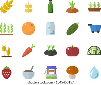 Color flat icon set mushroom flat vector, porridge, tomato, cucumber, Strawberry, ear, orange, well, carrot, planting plants, seedlings, greenhouse, glass bottles, grocery trolley  , drop