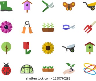 Color flat icon set nesting box flat vector, tree, flower, ladybird, pitchfork, secateurs, seedlings, garden wheelbarrow, gumboots, tulip, butterflies, greenhouse, carpal expander, hoop