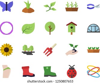 Color flat icon set nesting box flat vector, tree, flower, ladybird, pitchfork, secateurs, seedlings, planting plants, gumboots, butterflies, greenhouse, leaf, forest, buttocks, hoop