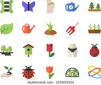 Color flat icon set nesting box flat vector, ladybird, pitchfork, seedlings, watering can, planting plants, tulip, butterflies, greenhouse, tree leaf, forest, buttocks, waistline, carpal expander