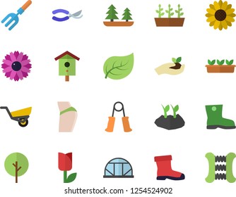 Color flat icon set nesting box flat vector, tree, flower, pitchfork, secateurs, seedlings, planting plants, garden wheelbarrow, gumboots, tulip, greenhouse, leaf, forest, buttocks, carpal expander