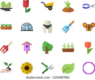 Color flat icon set nesting box flat vector, tree, flower, pitchfork, secateurs, seedlings, planting plants, garden wheelbarrow, tulip, butterflies, greenhouse, leaf, forest, waistline, hoop