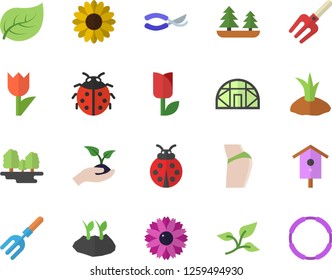 Color flat icon set nesting box flat vector, flower, ladybird, pitchfork, secateurs, seedlings, planting plants, tulip, greenhouse, tree leaf, forest, buttocks, hoop