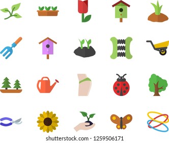 Color flat icon set nesting box flat vector, tree, flower, ladybird, pitchfork, secateurs, seedlings, watering can, planting plants, garden wheelbarrow, tulip, butterflies, leaf, forest, buttocks