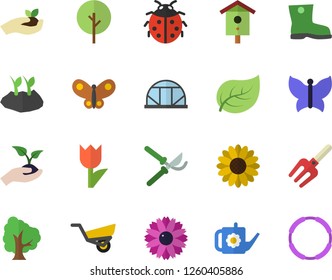 Color flat icon set nesting box flat vector, tree, flower, ladybird, pitchfork, secateurs, seedlings, watering can, planting plants, garden wheelbarrow, gumboots, tulip, butterflies, greenhouse