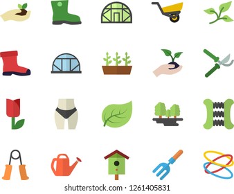 Color flat icon set nesting box flat vector, pitchfork, secateurs, seedlings, watering can, garden wheelbarrow, gumboots, tulip, greenhouse, tree leaf, forest, waistline, carpal expander, hoop