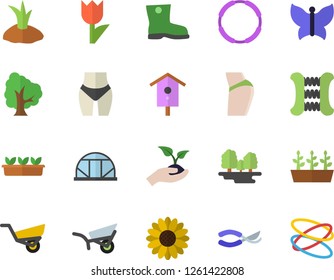 Color flat icon set nesting box flat vector, tree, flower, secateurs, seedlings, planting plants, garden wheelbarrow, gumboots, tulip, butterflies, greenhouse, forest, buttocks, waistline, hoop