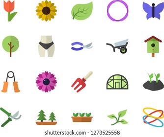 Color flat icon set nesting box flat vector, tree, flower, pitchfork, secateurs, planting plants, garden wheelbarrow, tulip, seedlings, butterflies, greenhouse, leaf, forest, waistline, hoop