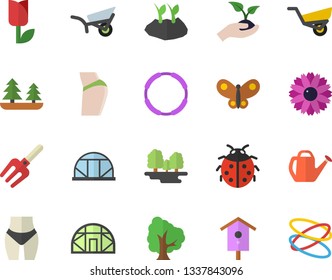 Color flat icon set nesting box flat vector, tree, flower, ladybird, pitchfork, seedlings, watering can, planting plants, garden wheelbarrow, tulip, butterflies, greenhouse, forest, buttocks, hoop