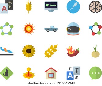 Color flat icon set onion flat vector, hot peppers, ear, pickup truck, flower, laser, computer diagnostics of health, molecules, sperm, molecule, brain, astronaut helmet fector, arrival, sun, house