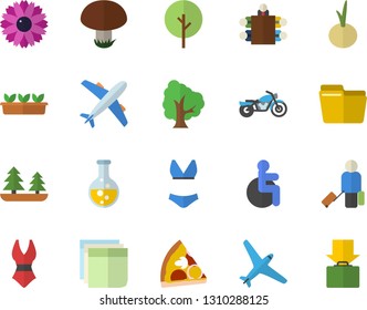 Color flat icon set pizza flat vector, onion, mushroom, tree, flower, seedlings, chemistry, forest, disabled, computer file, sticker, meeting, swimsuit, aircraft fector, motorcycle, luggage, get