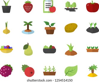 Color flat icon set potato flat vector, tomato, onion, salad, cranberry, Strawberry, blackberry, pear, home plant, planting plants, seedlings, tree leaf, forest, diet, island fector