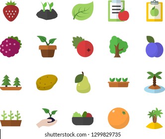 Color flat icon set potato flat vector, salad, cranberry, Strawberry, blackberry, plum, pear, orange, home plant, tree, seedlings, planting plants, leaf, forest, diet, island fector
