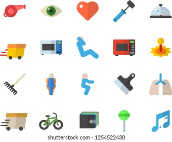 Color flat icon set putty knife flat vector, meat hammer, microwave, lollipop, rake, laser, purse, express delivery, heart, lungs, whistle, bicycle, squats, swing press, size, jingle fector, eye