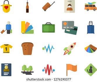 Color flat icon set color scheme flat vector, apron, sauce, bread, forest, credit card, flag, badge, rocket, electric discharge fector, sport T shirt, indentity, luggage, suitcase, transfer