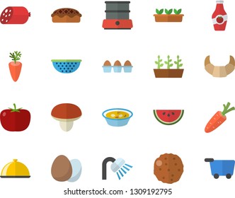 Color flat icon set shower flat vector, colander, double boiler, egg, dish, mushroom, tomato, croissant, sausage, watermelon, soup, pie, cutlet, carrot, ketchup, seedlings, grocery trolley vector