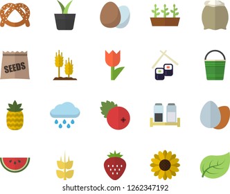Color flat icon set spice flat vector, egg, flour, bagel, watermelon, fish rolls, cranberry, Strawberry, pineapple, ear, seeds, home plant, flower, bucketful, tulip, seedlings, rain, tree leaf