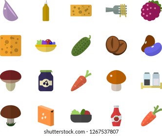 Color flat icon set spice flat vector, groats, legumes, cheese, spaghetti on a fork, mushroom, salad, coffee beans, garlic, cucumber, jam, blackberry, mustard, ketchup, carrot