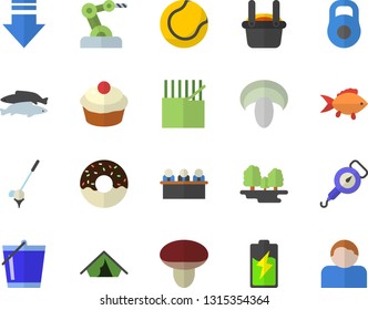 Color flat icon set spring balance flat vector, fish, mushroom, cupcake, donut, bucketful, battery, forest, fabric manufacture, metallurgy, meeting, industrial robot, weight, tennis ball, golf, user