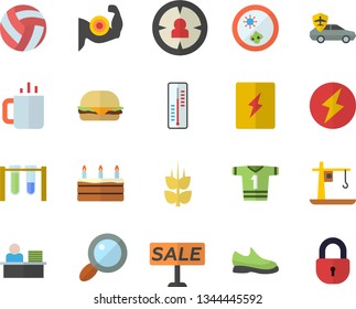 Color flat icon set switch box flat vector, hamburger, cake, tea, ear, thermometer, crane, autopilot, magnifier, target audience, sell out, office worker, lightning, beakers, Petri dish, sneakers