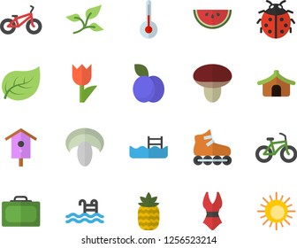 Color flat icon set temperature flat vector, watermelon, mushroom, pineapple, plum, nesting box, ladybird, tulip, tree leaf, bicycle, swimsuit, roller Skates, pool, suitcase fector, tent, sun