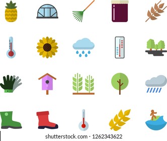 Color flat icon set temperature flat vector, ear, jam, pineapple, thermometer, nesting box, tree, flower, rake, gumboots, gloves, rain, greenhouse, forest, surfing fector