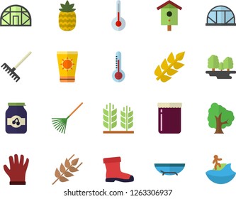 Color flat icon set temperature flat vector, ear, jam, pineapple, thermometer, nesting box, tree, rake, gumboots, gloves, greenhouse, forest, sea beach fector, sun protection cream, surfing