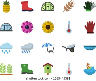 Color flat icon set temperature flat vector, ear, pineapple, thermometer, nesting box, flower, garden wheelbarrow, gumboots, gloves, rain, greenhouse, sea beach fector, chaise lounge, surfing