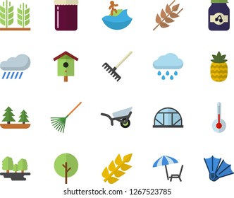 Color flat icon set temperature flat vector, ear, jam, pineapple, nesting box, tree, rake, garden wheelbarrow, rain, greenhouse, forest, chaise lounge fector, surfing, flippers