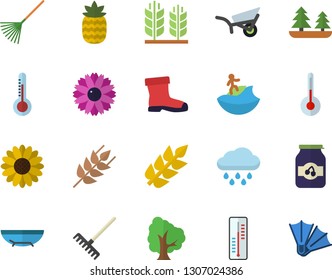 Color flat icon set temperature flat vector, ear, jam, pineapple, thermometer, tree, flower, rake, garden wheelbarrow, gumboots, rain, forest, sea beach fector, surfing, flippers
