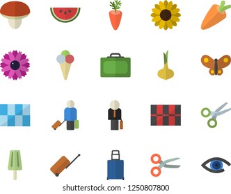 Color flat icon set tile flat vector, mushroom, onion, carrot, watermelon, ice cream, flower, butterflies, businessman, luggage fector, suitcase, scissors, eye