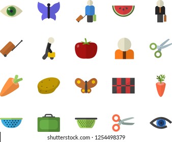 Color flat icon set tile flat vector, colander, potato, tomato, carrot, watermelon, butterflies, person, businessman, luggage fector, suitcase, scissors, eye