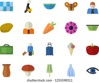 Color flat icon set tile flat vector, colander, towel, jugful, mushroom, potato, tomato, carrot, ice cream, flower, butterflies, person, businessman, luggage fector, suitcase, eye