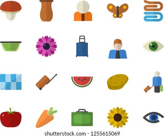 Color flat icon set tile flat vector, colander, towel, jugful, mushroom, potato, tomato, carrot, watermelon, flower, butterflies, person, luggage fector, suitcase, eye