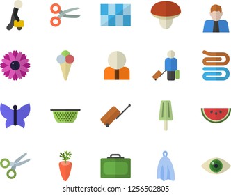 Color flat icon set tile flat vector, colander, towel, mushroom, watermelon, carrot, ice cream, flower, butterflies, person, businessman, luggage fector, suitcase, scissors, eye