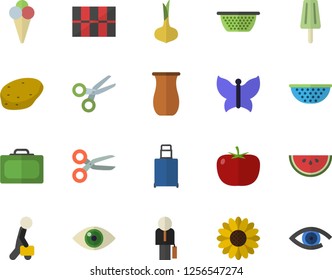 Color flat icon set tile flat vector, colander, jugful, potato, tomato, onion, watermelon, ice cream, flower, butterflies, businessman, suitcase fector, luggage, scissors, eye