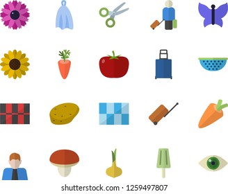 Color flat icon set tile flat vector, colander, towel, mushroom, potato, tomato, onion, carrot, ice cream, flower, butterflies, person, luggage fector, scissors, eye