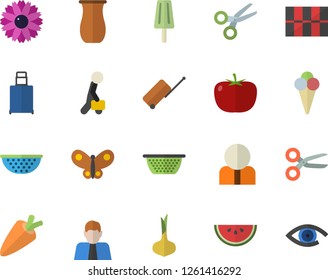 Color flat icon set tile flat vector, colander, jugful, tomato, onion, carrot, watermelon, ice cream, flower, butterflies, person, businessman, luggage fector, scissors, eye