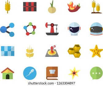 Color flat icon set tile flat vector, warm floor, cookbook, onion, hot peppers, honeycomb, ear, oil pumping, molecules, sperm, spark, astronaut helmet fector, starfish, house, chat