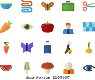Color flat icon set tile flat vector, colander, towel, mushroom, tomato, onion, carrot, watermelon, ice cream, butterflies, person, businessman, suitcase fector, luggage, scissors, eye