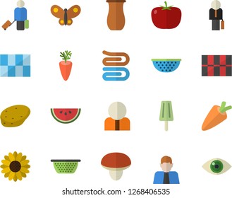 Color flat icon set tile flat vector, colander, towel, jugful, mushroom, potato, tomato, carrot, watermelon, ice cream, flower, butterflies, person, businessman, luggage fector, eye