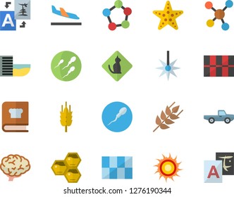 Color flat icon set tile flat vector, cookbook, ear, honeycomb, pickup truck, laser, molecules, sperm, brain, hotel first line fector, arrival, sun, starfish, pets allowed, translate