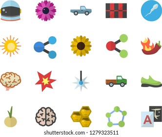 Color flat icon set tile flat vector, onion, hot peppers, honeycomb, pickup truck, flower, laser, molecules, sperm, molecule, spark, brain, astronaut helmet fector, sneakers, sun, translate