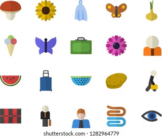 Color flat icon set tile flat vector, colander, towel, mushroom, potato, onion, watermelon, ice cream, flower, butterflies, person, businessman, suitcase fector, luggage, eye