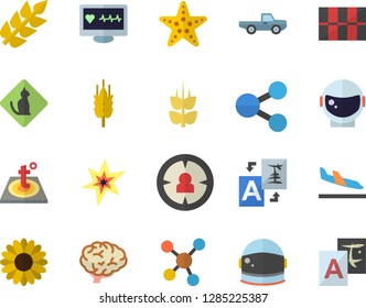 Color flat icon set tile flat vector, warm floor, ear, pickup truck, flower, target audience, molecules, computer diagnostics of health, spark, brain, astronaut helmet fector, arrival, starfish