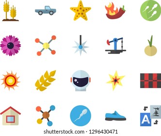 Color flat icon set tile flat vector, onion, hot peppers, ear, pickup truck, flower, oil pumping, laser, molecules, sperm, molecule, spark, astronaut helmet fector, sneakers, sun, starfish, house